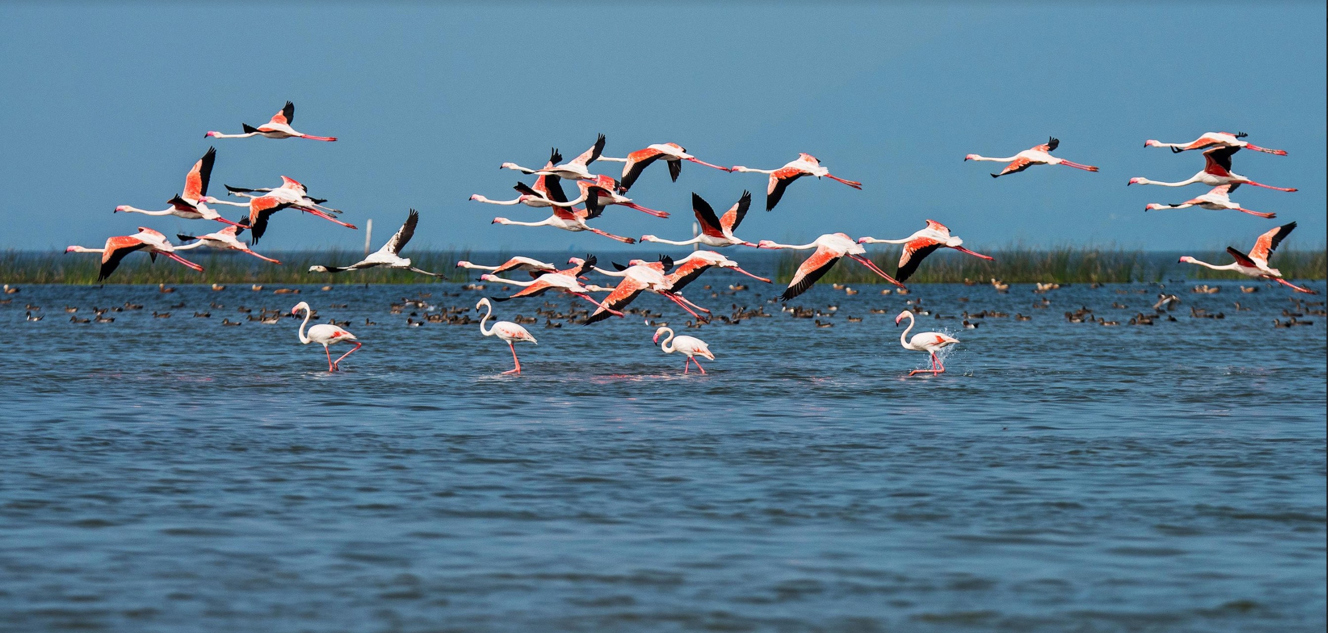 Chilika