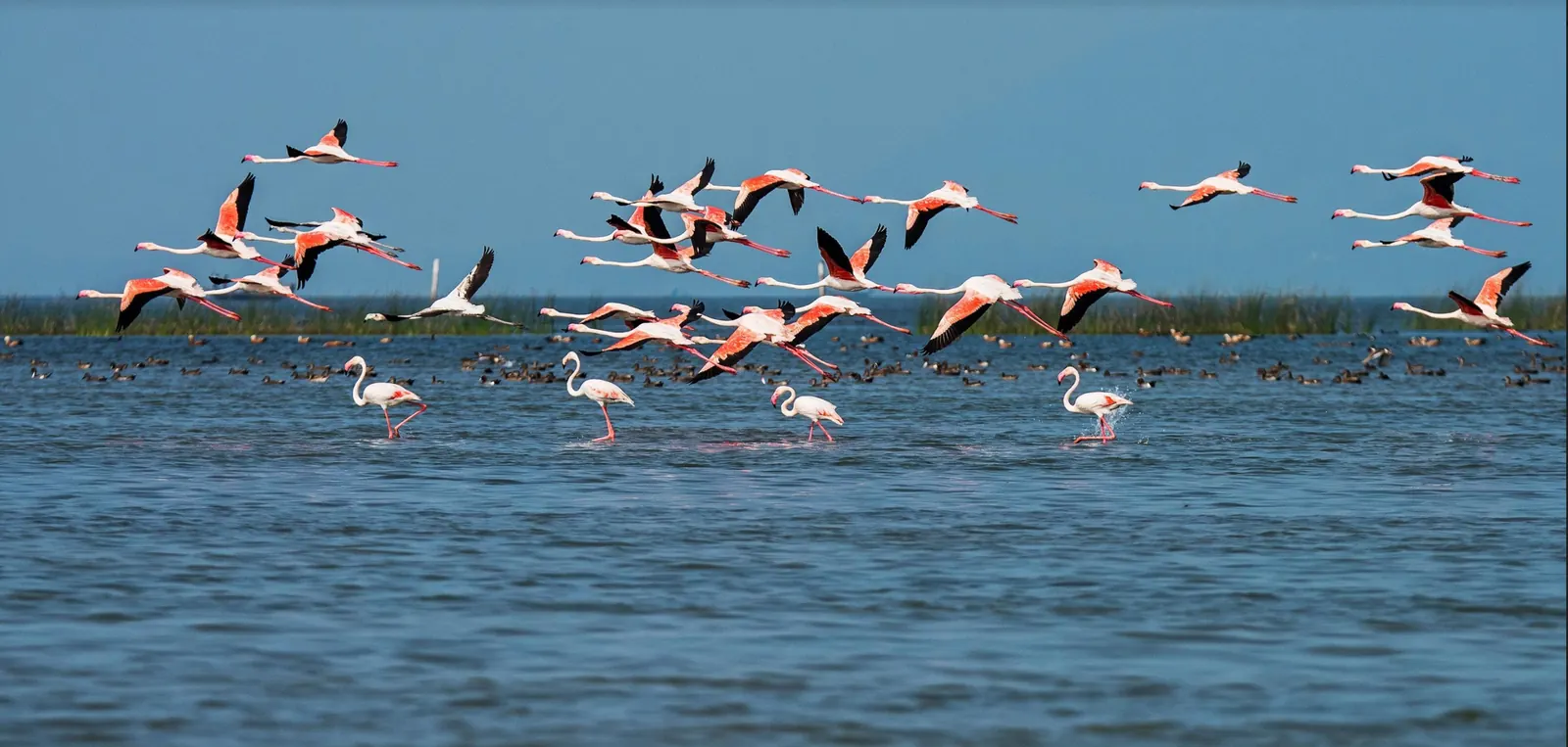 Chilika Lake