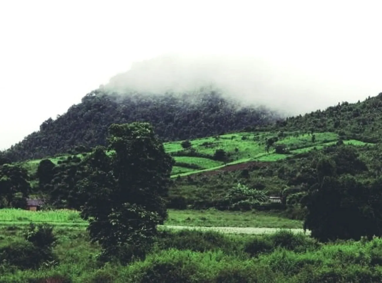 Daringbadi landscape